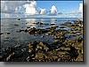 Low tide