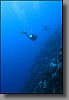 The drop-off is the interface between the relatively shallow reef and very deep Open Ocean.