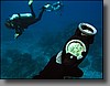 We held a depth of 15 to 20 feet at the end of the dive for a required safety stop.  This is to eliminate absorbed inert gases (mainly nitrogen) from our bodies to avoid decompression sickness.