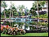 Hilton Hawaiin Village - 3